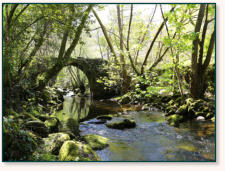 Casa DoDo Ribeira Sacra, alrededores