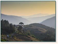 Casa DoDo Ribeira Sacra, alrededores