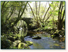 Casa SoDo Ribeira Sacra, Umgebung