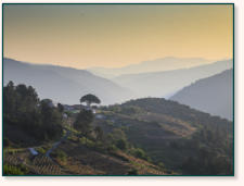 Casa SoDo Ribeira Sacra, Umgebung