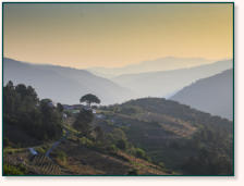 Casa SoDo Ribeira Sacra, Umgebung